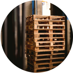 Forklift Xpert